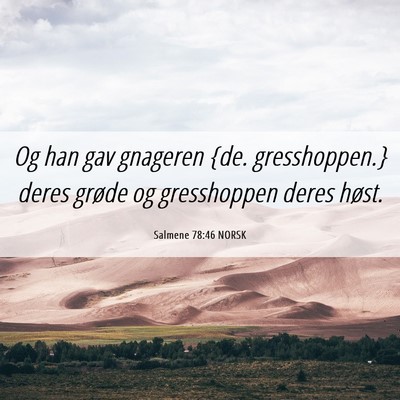 Picture 06 - Salmene 78:46 NORSK - Og han gav gnageren {de. gresshoppen.} deres - Bible Verse Picture