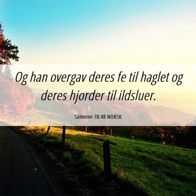 Picture 06 - Salmene 78:48 NORSK - Og han overgav deres fe til haglet og deres - Bible Verse Picture