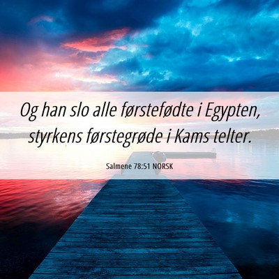 Picture 06 - Salmene 78:51 NORSK - Og han slo alle førstefødte i Egypten, styrkens - Bible Verse Picture
