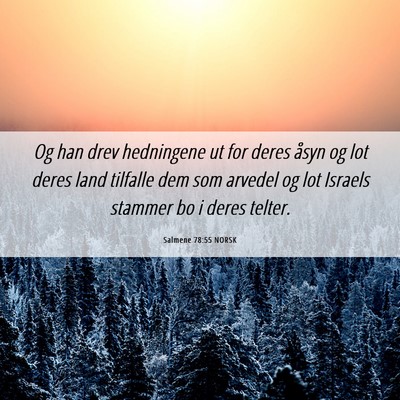 Picture 06 - Salmene 78:55 NORSK - Og han drev hedningene ut for deres åsyn og lot - Bible Verse Picture