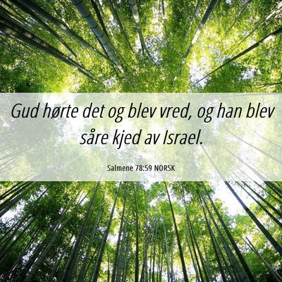 Picture 06 - Salmene 78:59 NORSK - Gud hørte det og blev vred, og han blev såre - Bible Verse Picture