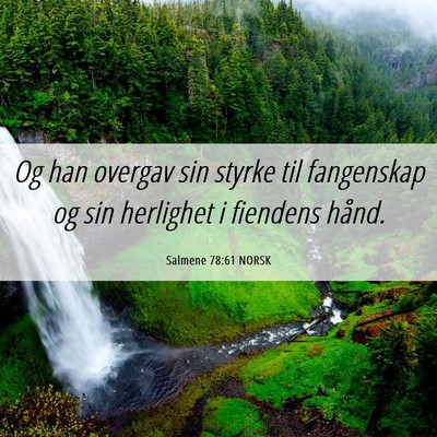 Picture 06 - Salmene 78:61 NORSK - Og han overgav sin styrke til fangenskap og sin - Bible Verse Picture