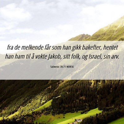 Picture 06 - Salmene 78:71 NORSK - fra de melkende får som han gikk bakefter, - Bible Verse Picture