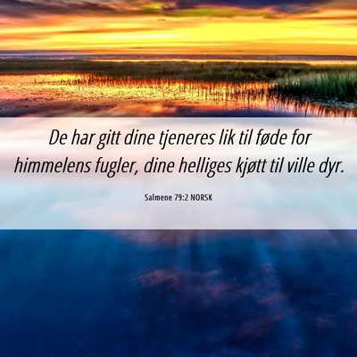 Picture 06 - Salmene 79:2 NORSK - De har gitt dine tjeneres lik til føde for - Bible Verse Picture