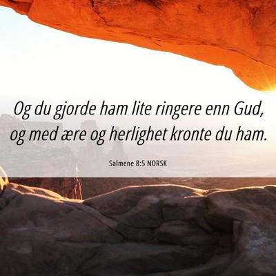 Picture 06 - Salmene 8:5 NORSK - Og du gjorde ham lite ringere enn Gud, og med - Bible Verse Picture