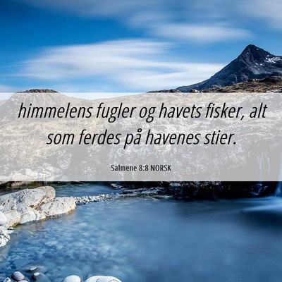 Picture 06 - Salmene 8:8 NORSK - himmelens fugler og havets fisker, alt som ferdes - Bible Verse Picture