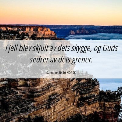 Picture 06 - Salmene 80:10 NORSK - Fjell blev skjult av dets skygge, og Guds sedrer - Bible Verse Picture