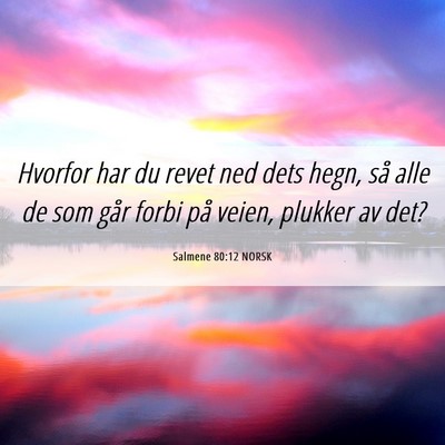 Picture 06 - Salmene 80:12 NORSK - Hvorfor har du revet ned dets hegn, så alle de - Bible Verse Picture