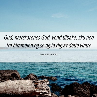 Picture 06 - Salmene 80:14 NORSK - Gud, hærskarenes Gud, vend tilbake, sku ned fra - Bible Verse Picture