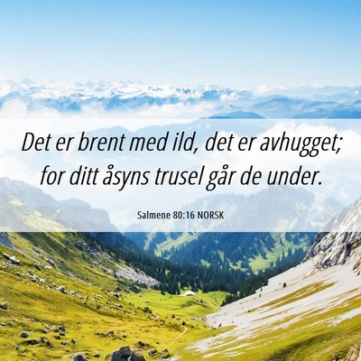 Picture 06 - Salmene 80:16 NORSK - Det er brent med ild, det er avhugget; for ditt - Bible Verse Picture