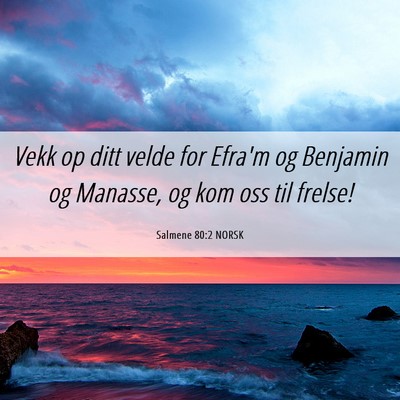 Picture 06 - Salmene 80:2 NORSK - Vekk op ditt velde for Efra'm og Benjamin og - Bible Verse Picture