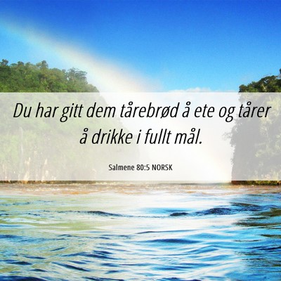 Picture 06 - Salmene 80:5 NORSK - Du har gitt dem tårebrød å ete og tårer å - Bible Verse Picture