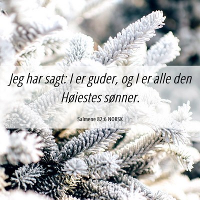 Picture 06 - Salmene 82:6 NORSK - Jeg har sagt: I er guder, og I er alle den - Bible Verse Picture