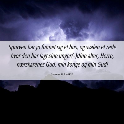 Picture 06 - Salmene 84:3 NORSK - Spurven har jo funnet sig et hus, og svalen et - Bible Verse Picture