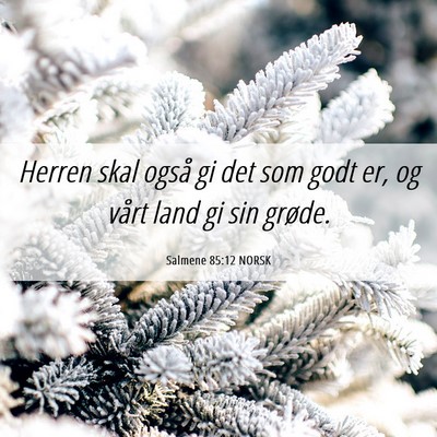Picture 06 - Salmene 85:12 NORSK - Herren skal også gi det som godt er, og vårt - Bible Verse Picture