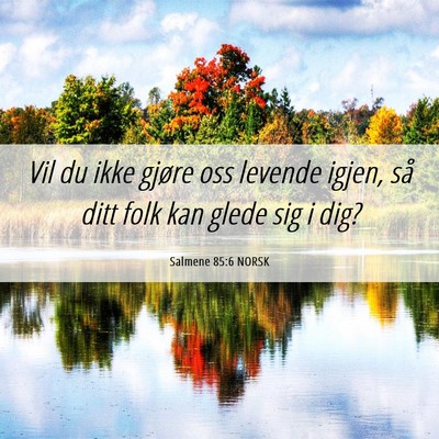 Picture 06 - Salmene 85:6 NORSK - Vil du ikke gjøre oss levende igjen, så ditt - Bible Verse Picture