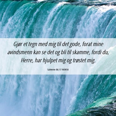 Picture 06 - Salmene 86:17 NORSK - Gjør et tegn med mig til det gode, forat mine - Bible Verse Picture