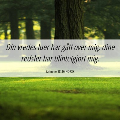 Picture 06 - Salmene 88:16 NORSK - Din vredes luer har gått over mig, dine redsler - Bible Verse Picture