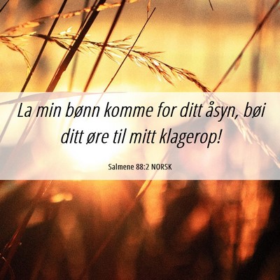Picture 06 - Salmene 88:2 NORSK - La min bønn komme for ditt åsyn, bøi ditt øre - Bible Verse Picture