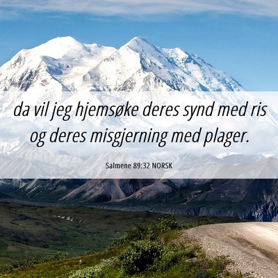 Picture 06 - Salmene 89:32 NORSK - da vil jeg hjemsøke deres synd med ris og deres - Bible Verse Picture