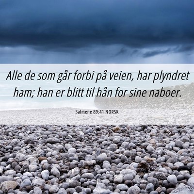 Picture 06 - Salmene 89:41 NORSK - Alle de som går forbi på veien, har plyndret - Bible Verse Picture