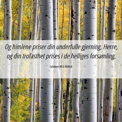 Picture 06 - Salmene 89:5 NORSK - Og himlene priser din underfulle gjerning, Herre, - Bible Verse Picture