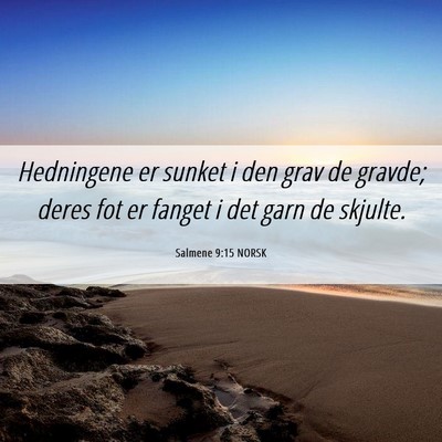 Picture 06 - Salmene 9:15 NORSK - Hedningene er sunket i den grav de gravde; deres - Bible Verse Picture