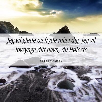 Picture 06 - Salmene 9:2 NORSK - Jeg vil glede og fryde mig i dig, jeg vil - Bible Verse Picture