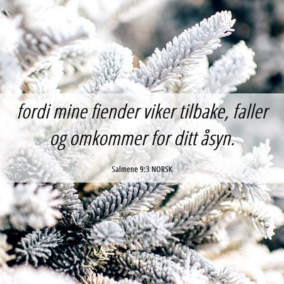 Picture 06 - Salmene 9:3 NORSK - fordi mine fiender viker tilbake, faller og - Bible Verse Picture
