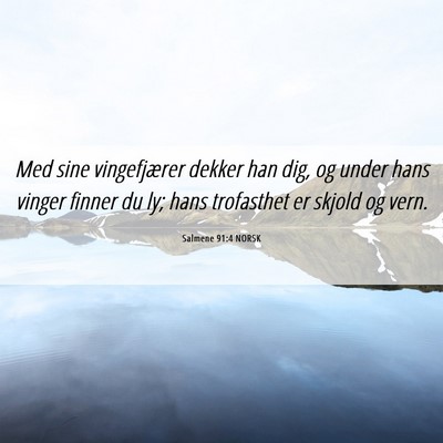 Picture 06 - Salmene 91:4 NORSK - Med sine vingefjærer dekker han dig, og under - Bible Verse Picture