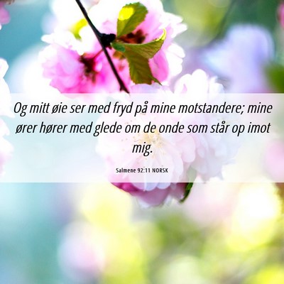 Picture 06 - Salmene 92:11 NORSK - Og mitt øie ser med fryd på mine motstandere; - Bible Verse Picture