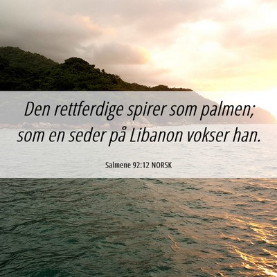 Picture 06 - Salmene 92:12 NORSK - Den rettferdige spirer som palmen; som en seder - Bible Verse Picture