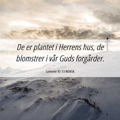 Picture 06 - Salmene 92:13 NORSK - De er plantet i Herrens hus, de blomstrer i vår - Bible Verse Picture