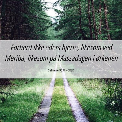 Picture 06 - Salmene 95:8 NORSK - Forherd ikke eders hjerte, likesom ved Meriba, - Bible Verse Picture