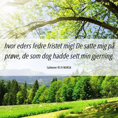 Picture 06 - Salmene 95:9 NORSK - hvor eders fedre fristet mig! De satte mig på - Bible Verse Picture