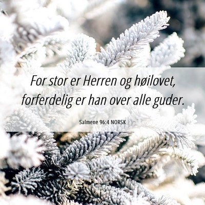 Picture 06 - Salmene 96:4 NORSK - For stor er Herren og høilovet, forferdelig er - Bible Verse Picture