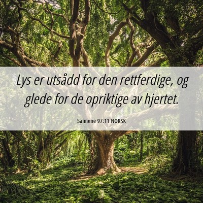 Picture 06 - Salmene 97:11 NORSK - Lys er utsådd for den rettferdige, og glede for - Bible Verse Picture