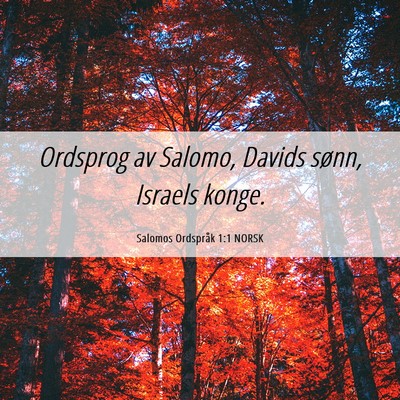 Picture 06 - Salomos Ordspråk 1:1 NORSK - Ordsprog av Salomo, Davids sønn, Israels - Bible Verse Picture