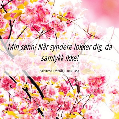 Picture 06 - Salomos Ordspråk 1:10 NORSK - Min sønn! Når syndere lokker dig, da samtykk - Bible Verse Picture