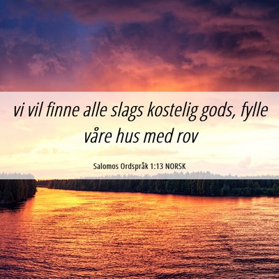 Picture 06 - Salomos Ordspråk 1:13 NORSK - vi vil finne alle slags kostelig gods, fylle - Bible Verse Picture