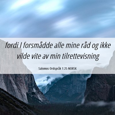 Picture 06 - Salomos Ordspråk 1:25 NORSK - fordi I forsmådde alle mine råd og ikke vilde - Bible Verse Picture