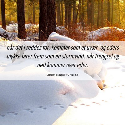 Picture 06 - Salomos Ordspråk 1:27 NORSK - når det I reddes for, kommer som et uvær, og - Bible Verse Picture