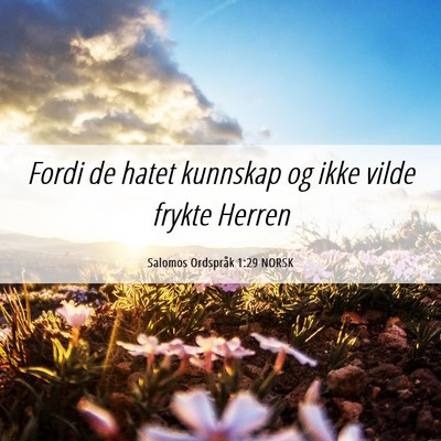 Picture 06 - Salomos Ordspråk 1:29 NORSK - Fordi de hatet kunnskap og ikke vilde frykte - Bible Verse Picture