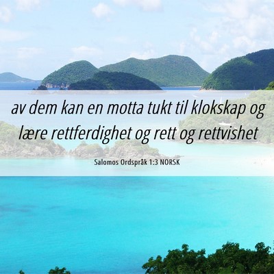Picture 06 - Salomos Ordspråk 1:3 NORSK - av dem kan en motta tukt til klokskap og lære - Bible Verse Picture