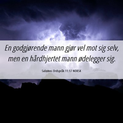 Picture 06 - Salomos Ordspråk 11:17 NORSK - En godgjørende mann gjør vel mot sig selv, men - Bible Verse Picture