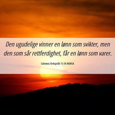 Picture 06 - Salomos Ordspråk 11:18 NORSK - Den ugudelige vinner en lønn som svikter, men - Bible Verse Picture