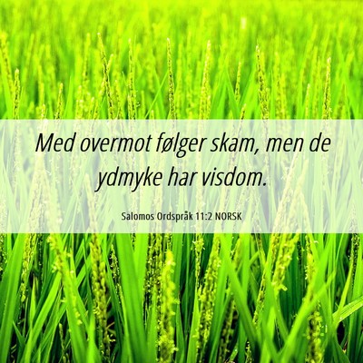 Picture 06 - Salomos Ordspråk 11:2 NORSK - Med overmot følger skam, men de ydmyke har - Bible Verse Picture