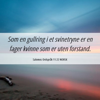 Picture 06 - Salomos Ordspråk 11:22 NORSK - Som en gullring i et svinetryne er en fager - Bible Verse Picture