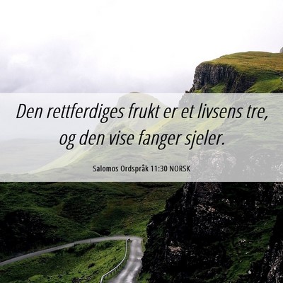 Picture 06 - Salomos Ordspråk 11:30 NORSK - Den rettferdiges frukt er et livsens tre, og den - Bible Verse Picture