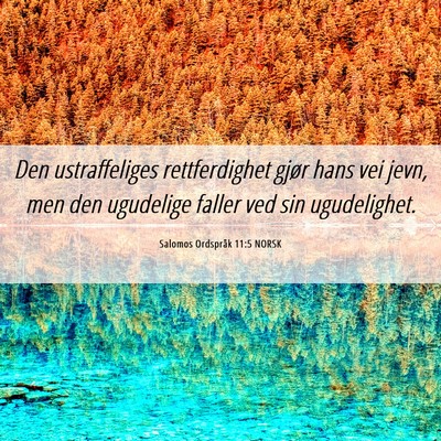 Picture 06 - Salomos Ordspråk 11:5 NORSK - Den ustraffeliges rettferdighet gjør hans vei - Bible Verse Picture